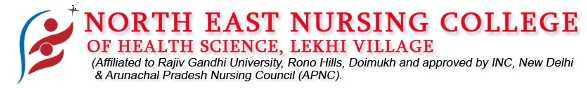 North East Nursing College of Health Sciences